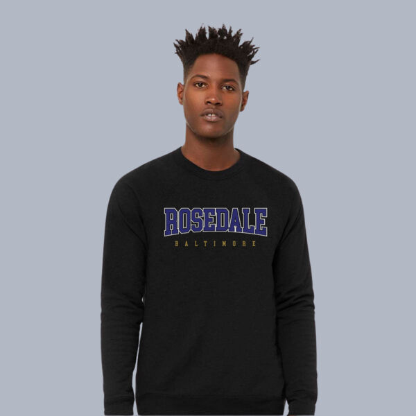Rosedale - Sponge Fleece Raglan Crewneck Sweatshirt Thumbnail